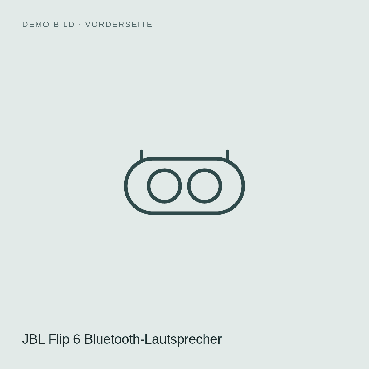 DEMO JBL Flip 6 Bluetooth-Lautsprecher